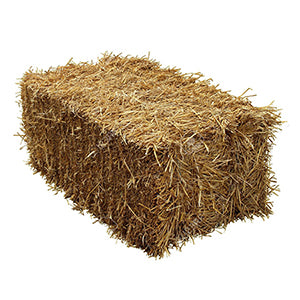 STRAW BALES