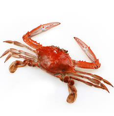 Cooked - Blue Swimmer Crabs
