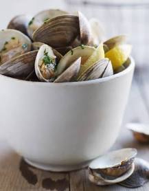 Vongole SA Fresh