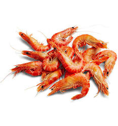 Cooked Farmed Tiger Prawns 16/20