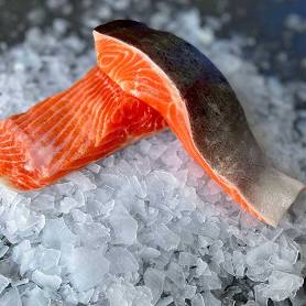 Ocean Trout ( Skin On Bone Out ) Portions