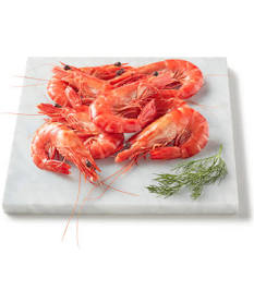 Large Cooked Farmed Tiger Prawns 10/15