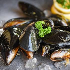 Black Mussels