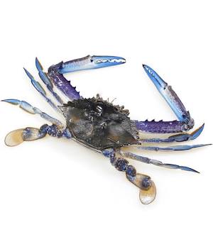 Green - Blue Swimmer Crabs