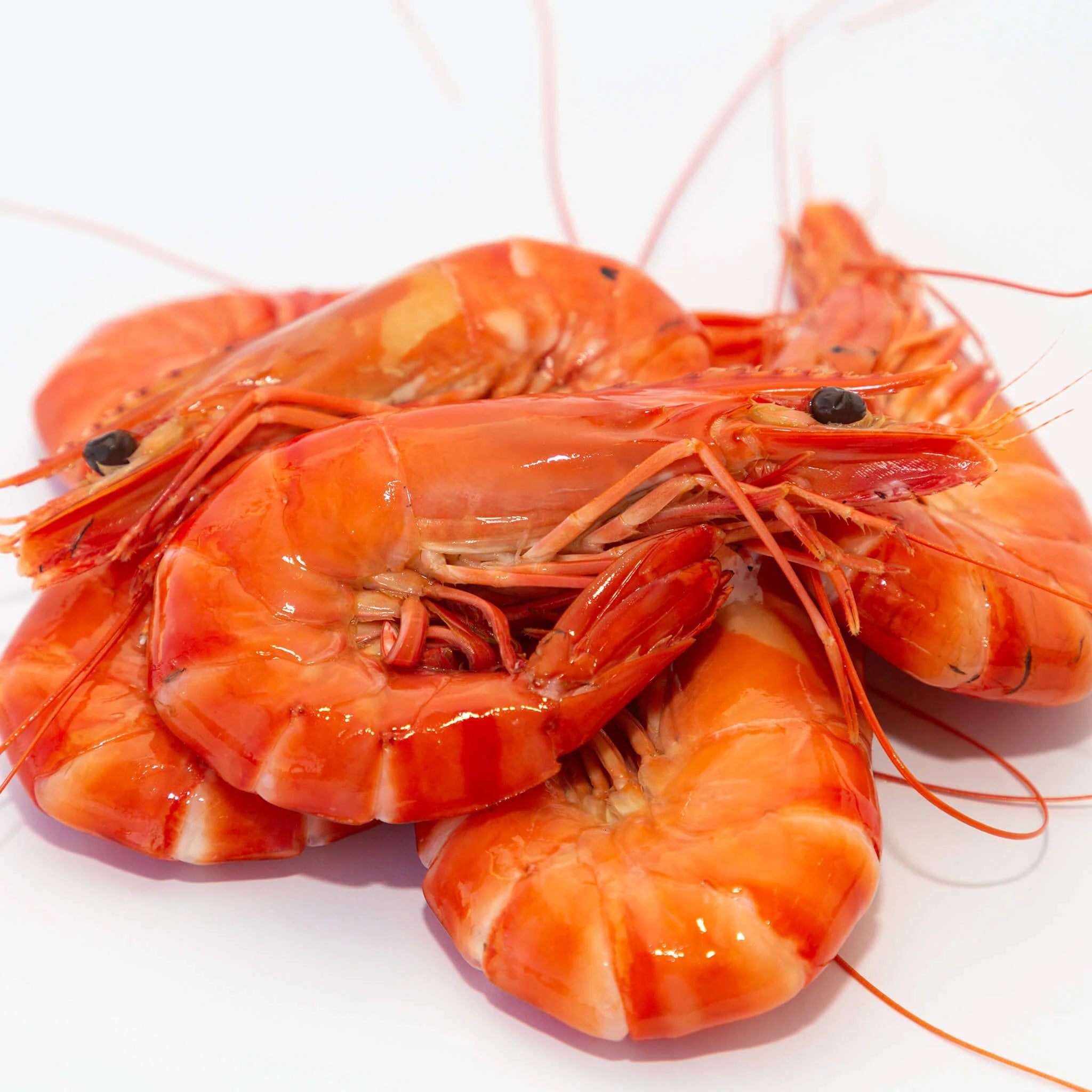 FRESH COOKED PRAWNS