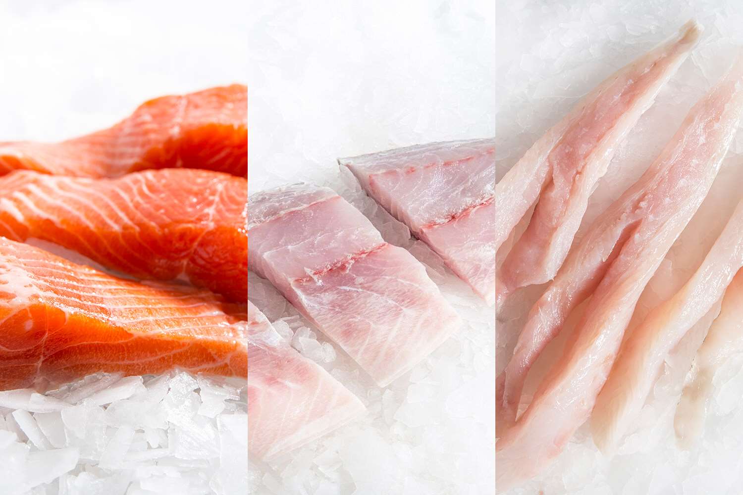 FRESH FILLETS