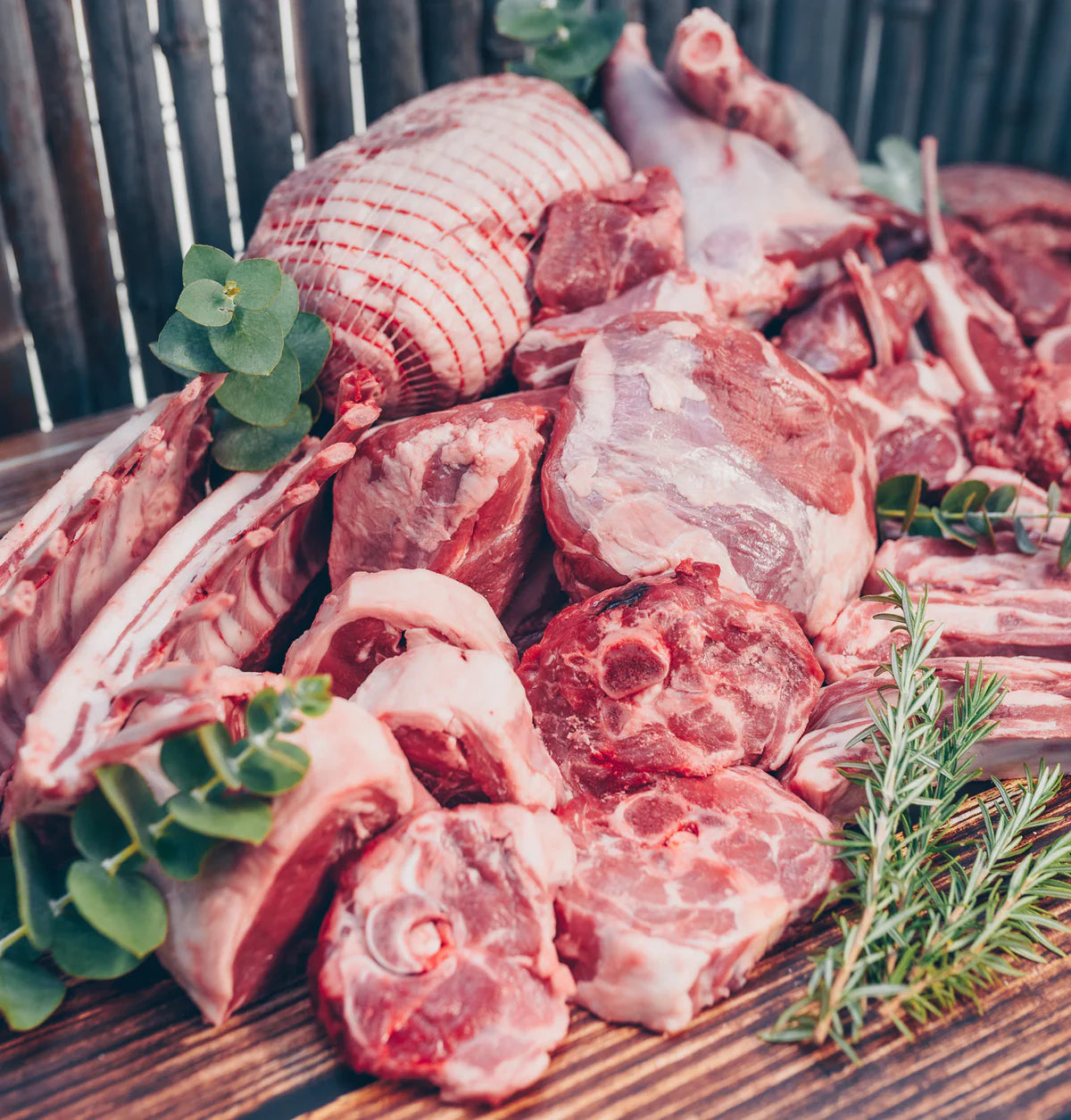LAMB