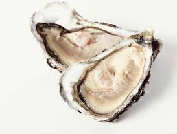 MOLLUSCS