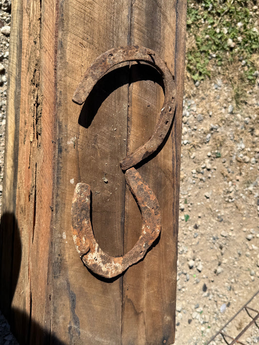 rusted horseshoes