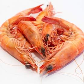Cooked Med/Large King Prawns 10/15
