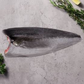 Kingfish - Fillets Hiramasa